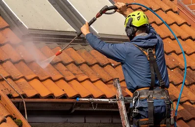 Démoussage et hydrofuge de toiture à Blassac